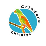 criaderochicureo